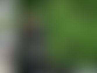 First Time BJJ Competitors Share Their Experience