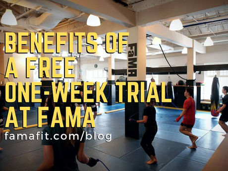 Benefits of a Free One-Week Trial at FaMA