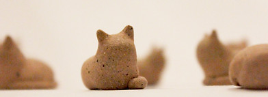 CAT_6_edited.jpg