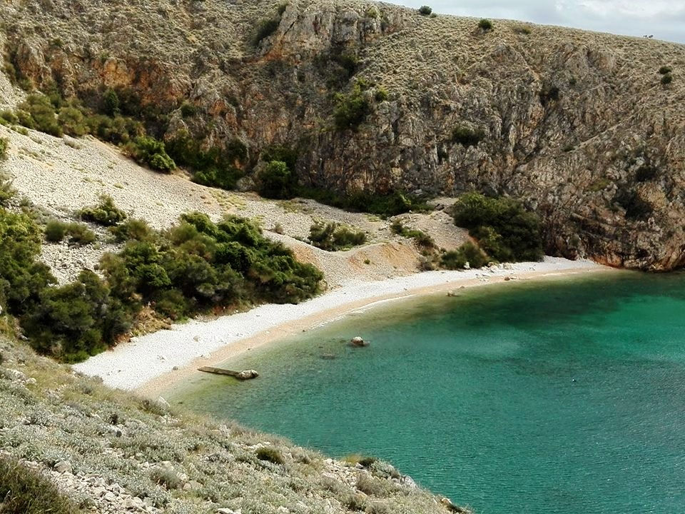 fox bay beach