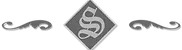 logo_st2.webp