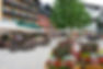 bauernmarkt-dorfplatzl.jpg