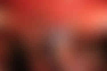 Niko & The Lost Boys