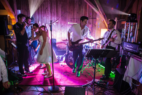 Niko & The Lost Boys