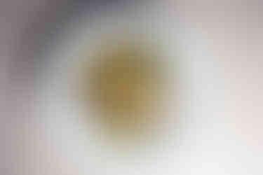 Quellenhof Luxury Resort Lazise 