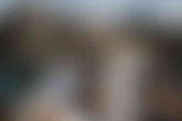 Gardasee & Seenlandschaften