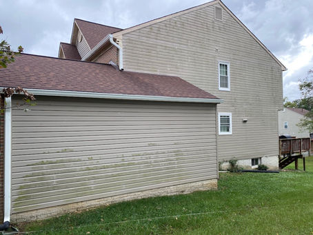 Hidden gem- Springdale MD home algae removed