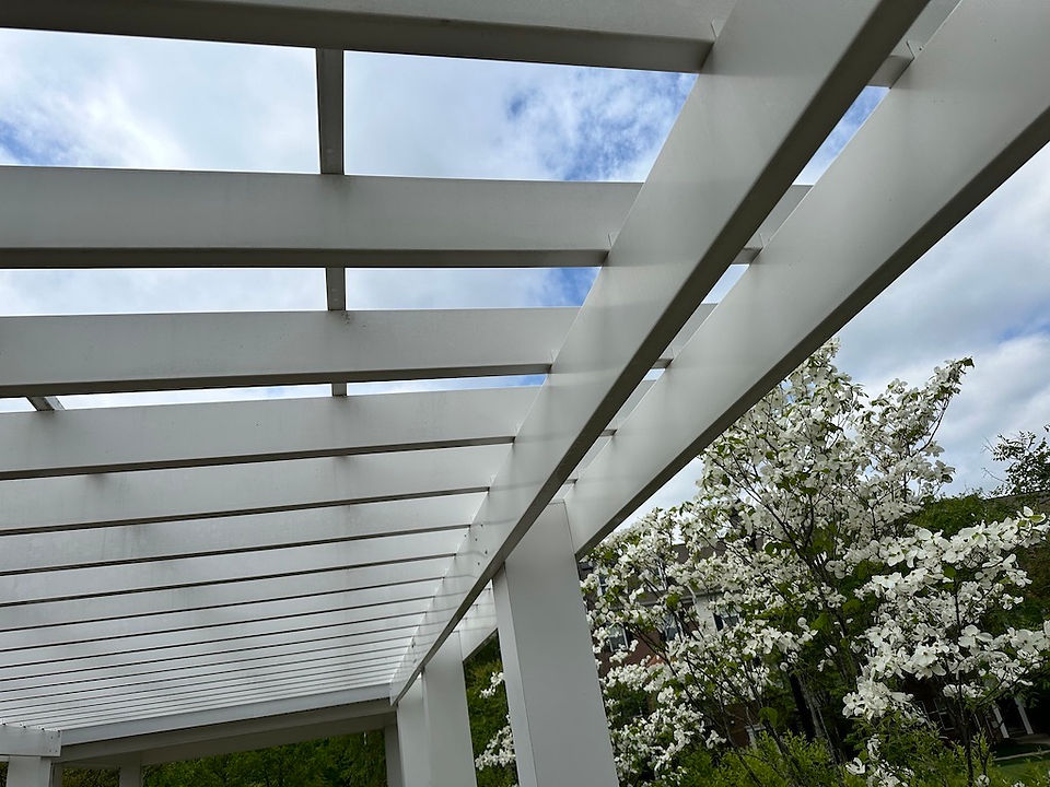 Pergola Pressure washed 