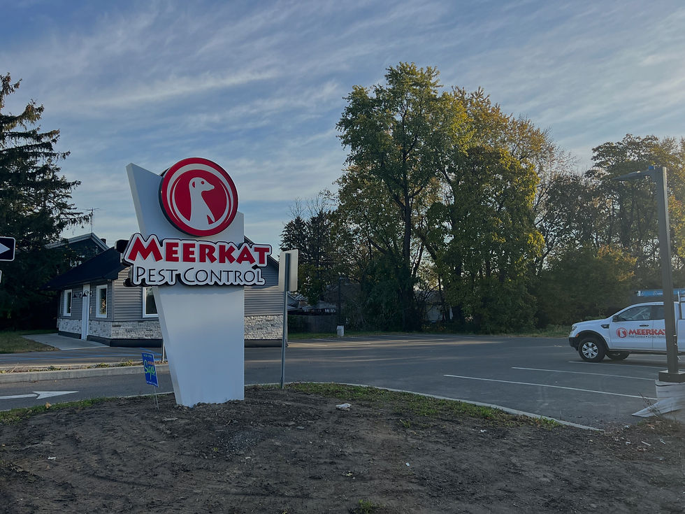 Meerkat Pest Control Hudson, NY Exterminator Near You
