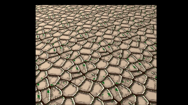 ShadowAdjust.gif