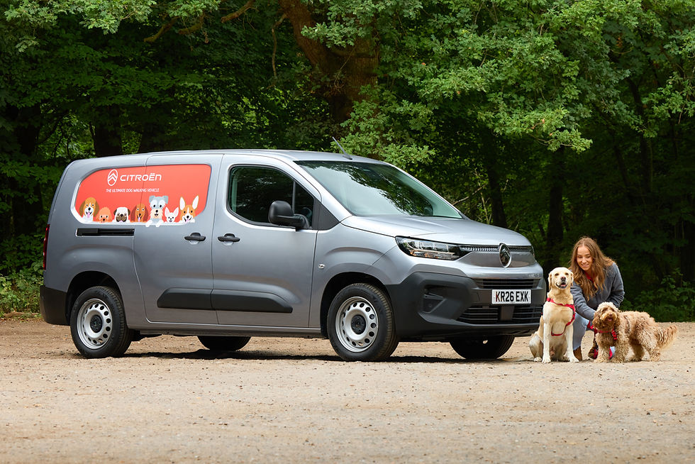 2026 Citroën Pawlingo Concept