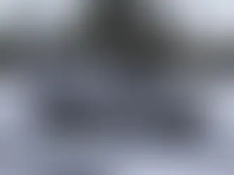 New Citroën C3 Aircross: the coupé surprises the testers once again