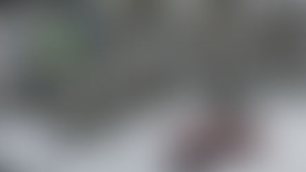 WRC : Rallye de Suède : Les équipages Citroën dans le bon rythme