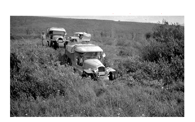 Citroën Cruises