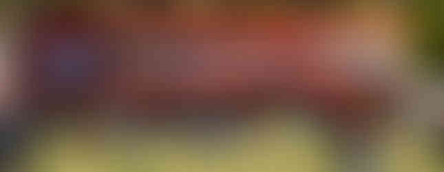 Citroën Lollapalooza Festival 2026