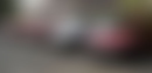 Onze mois 2020 - Marché utilitaires FRANCE : Le Citroën Berlingo en forme