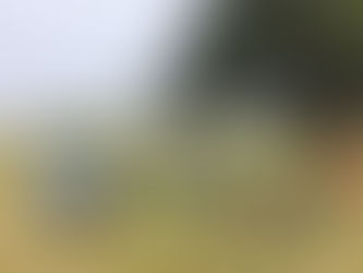 [La Croisière Verte] Les Citroën Ami franchissent le Sénégal et battent un record d’autonomie