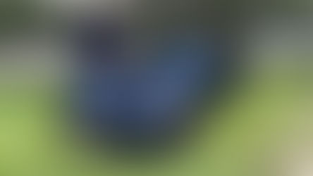 La DS 9 présentée en Espagne : focus sur la finition Performance Line