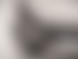 Citroën in France: reasons for satisfaction despite disappointing figures