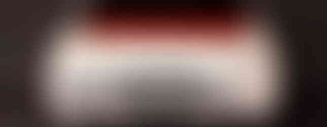 La Citroën ZX Rallye-Raid