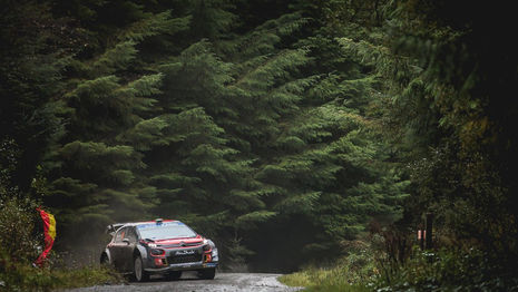WRC : Une Citroën C3 dans le rythme des meilleurs