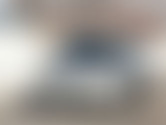 Future DS 8: It shows a little more in photos