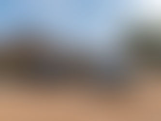 Citroën : Les ventes au premier semestre 2024 - Amérique latine