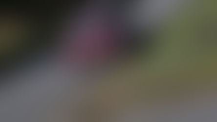 WRC - Tour de Corse : Résultats du 1er jour