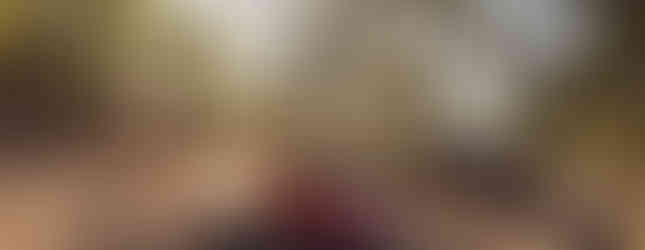 Le nouveau Citroën C3 Aircross 2024 en forêt