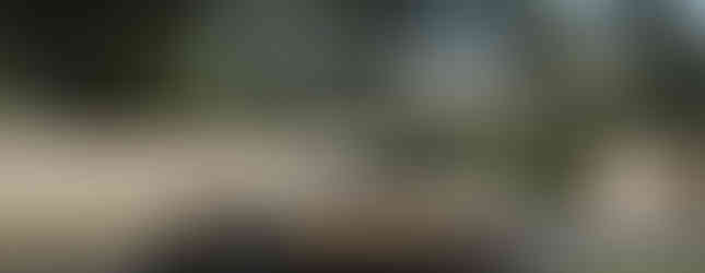 Le DS SM Tribute 2024