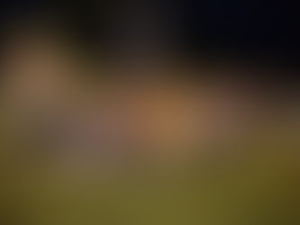 1. Mannschaft zurück in der 2. Liga