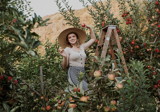 apple picking oak glen