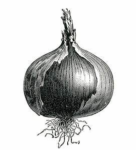 Vintage-Gardening-737-OldDesignShop.png