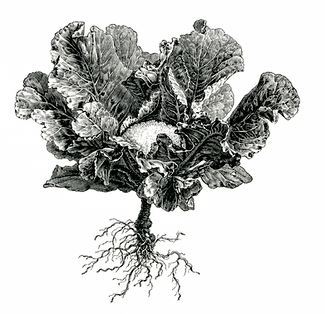 Vintage-Gardening-387-OldDesignShop.png