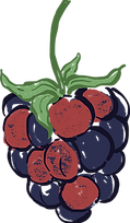 Colored illustration 37_edited.png