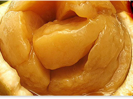 Kumukhubwe… Fleshy-Sweet-Sour (strychnos spinosa)