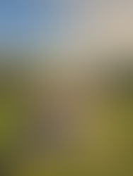 From Guilty to Guilt-Free