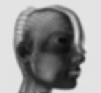Smart AI—agentic workflows and RAG grounded in your trusted sources.