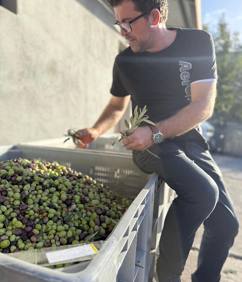 WhatsApp Image 2026-02-05 at 10.05.50 (3).jpeg