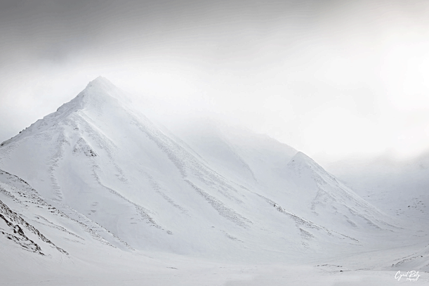 Polar Mountain