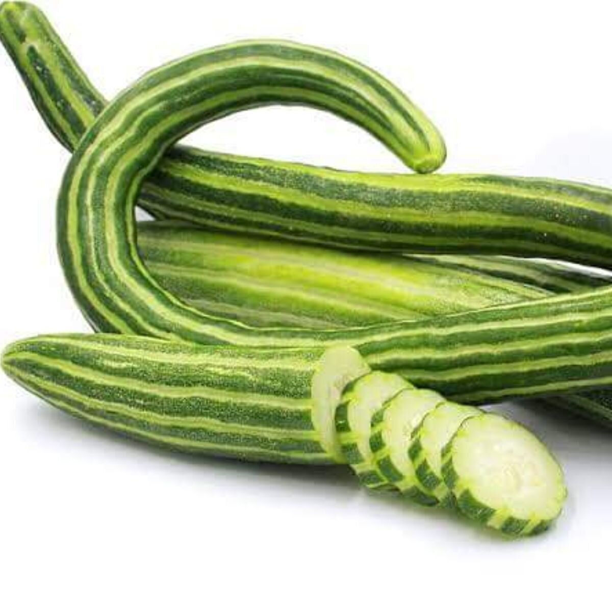 Armenian Cucumber