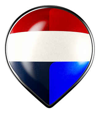 Balloon Pin.png