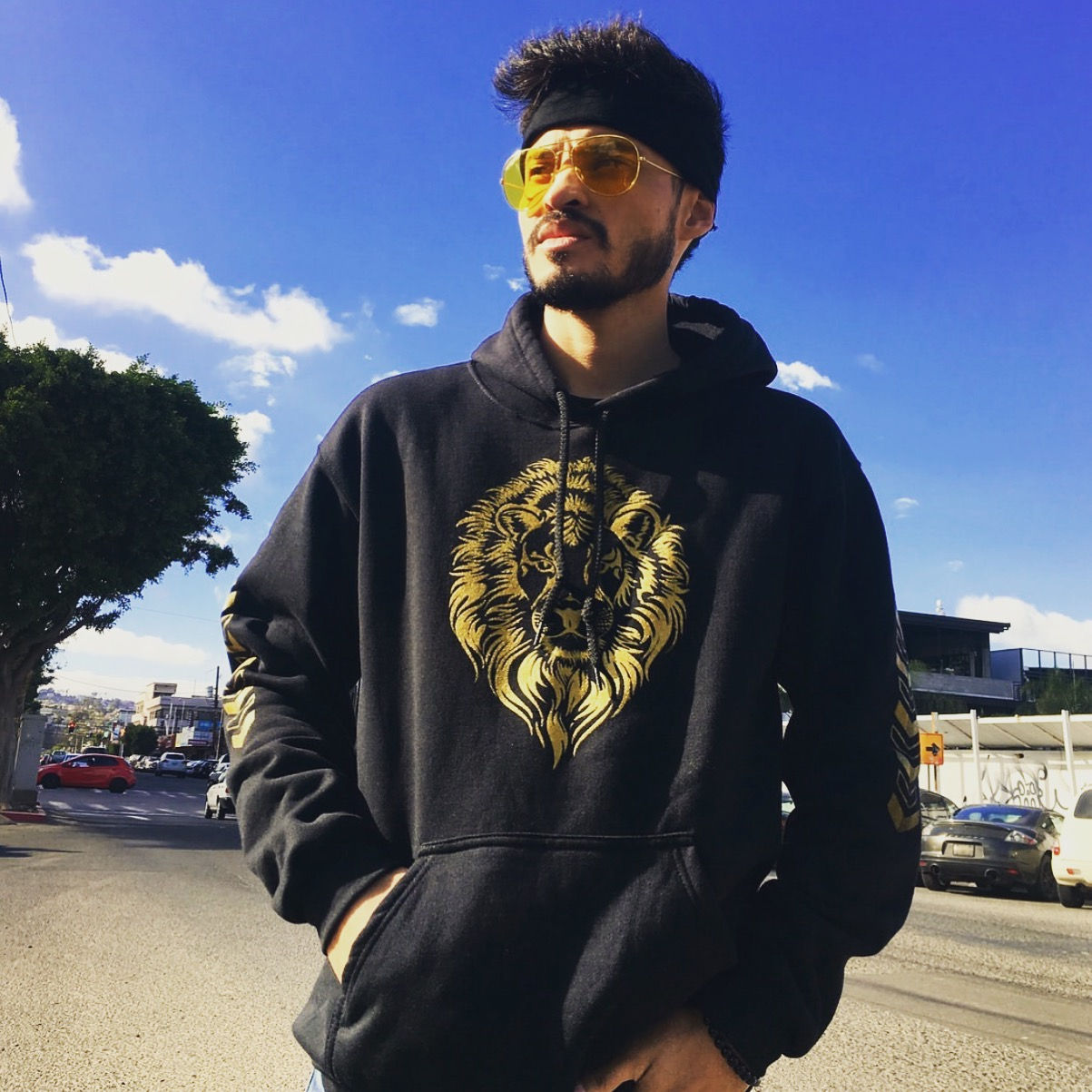 Hoodie Lyon