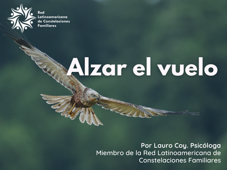 Alzar el vuelo