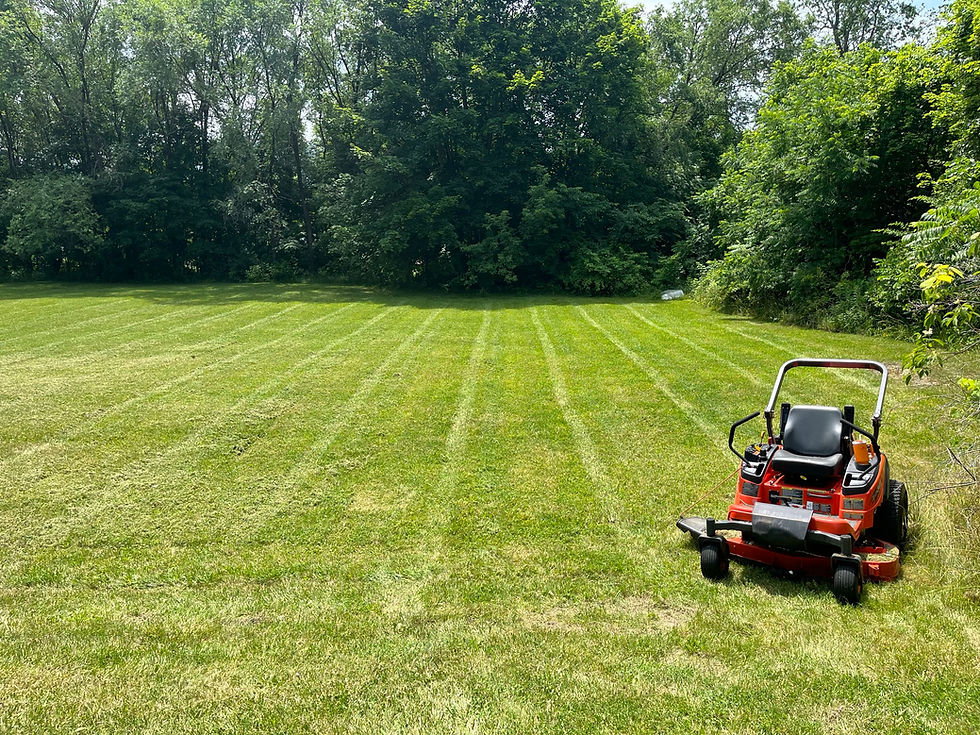 Freshly mowed lawn in Bath NY