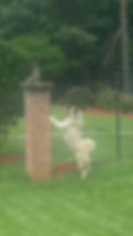 20170605_120546.jpg