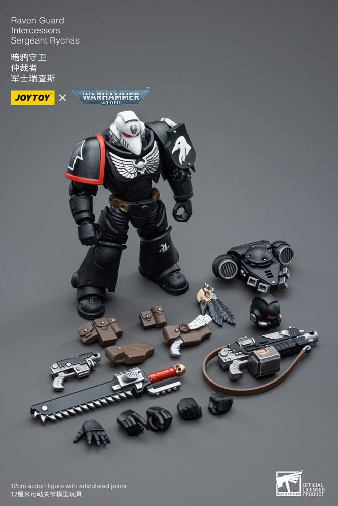 Miniaturbild: Intercessors Sergeant Rychas Sammlerfiguren Warhammer 40000