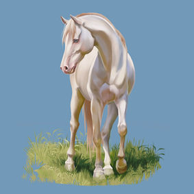 Horse Study.jpg