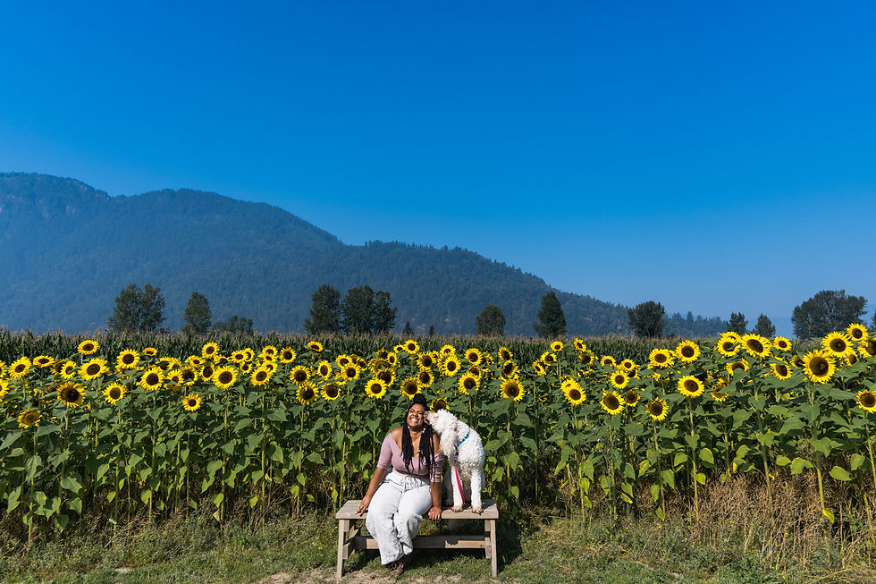 Vancouver yoga teacher kendra coupland sits in a field of sunflowers with her golden doodle, Ellie.