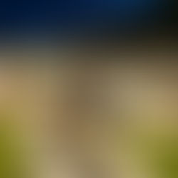 Ridgeview Elementary School